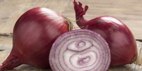 Crveni (ljubičasti) luk: zdravstvene koristi i štete za žene i muškarce, sastav